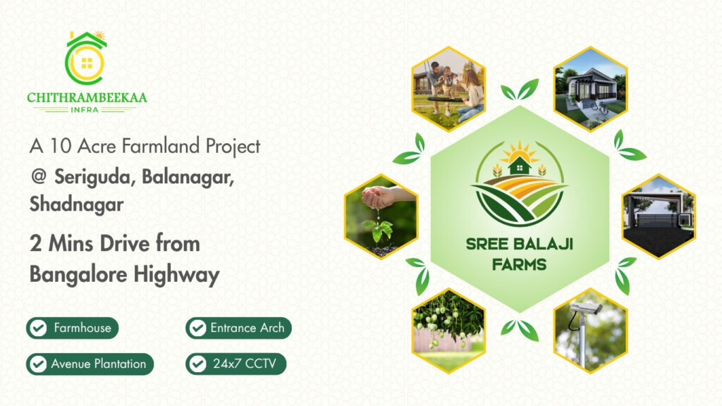 untitled design (12)