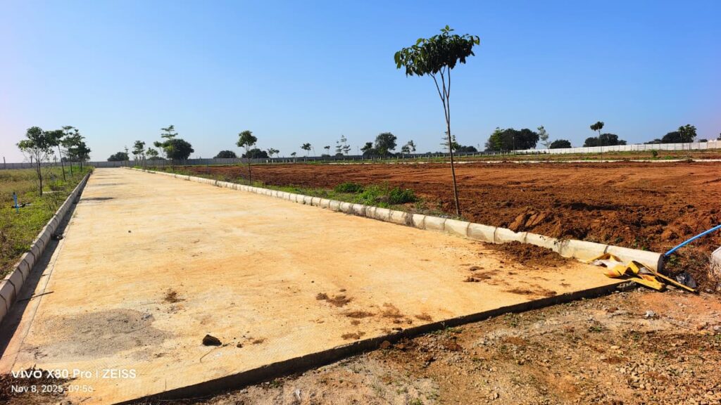 whatsapp image 2025 11 08 at 10.02.46 am